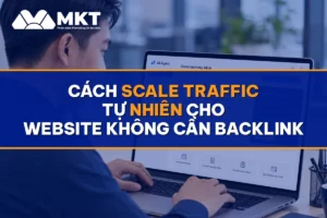 Cách Scale Traffic Tự Nhiên Cho Website Không Cần Backlink
